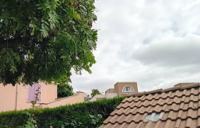 Élagueur à Jouy‑le‑Moutier