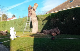 Elagueur L'Étang-la-Ville