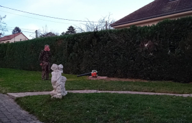 Elagueur L'Étang-la-Ville